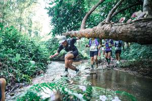 BIB: 
                            <button type="button" onclick="openModal(25444286)" class="btn btn-primary btn-sm float-right btn-popup" data-toggle="modal" data-target=".modal-high-quality">
                        <i class="fas fa-shopping-cart"></i> Add to Cart
                    </button>
                                            <button type="button" onclick="isThisMe(25444286, true)" class="btn btn-success btn-sm float-right btn-popup btn-isme hidden" data-toggle="tooltip" data-placement="bottom" title="นี่คือรูปของคุณใช่ไหม คลิกที่นี่เพื่อเอาเข้าอัลบั้ม">
                        <i class="fas fa-plus"></i> Add to album
                    </button>
                    <button type="button" onclick="isThisMe(25444286, false)" class="btn btn-warning btn-sm float-right btn-popup btn-isnotme hidden">
                        <i class="fas fa-ban"></i> Remove from album
                    </button>